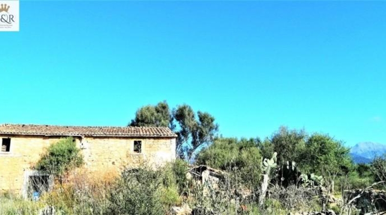 Islas Baleares - Binissalem - 44000m2