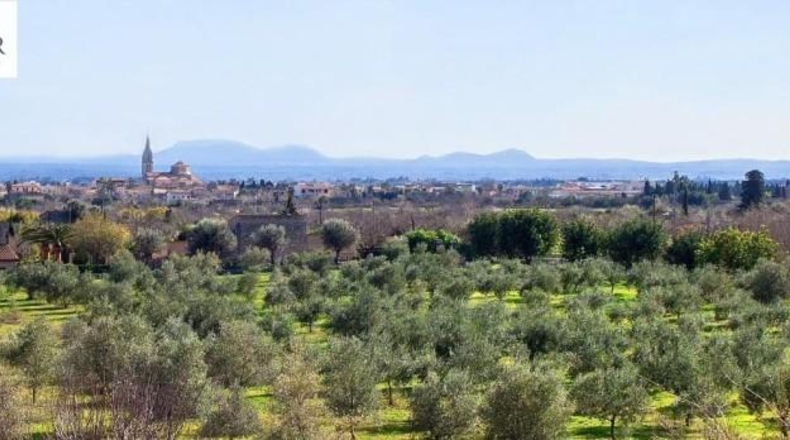 Islas Baleares - Binissalem - 44000m2