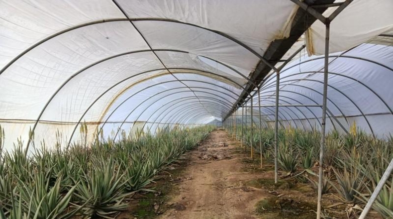 Córdoba - Córdoba - 70m2