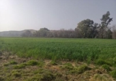 Xalet independent amb terreny en venda a la España, Encinarejo de Córdoba, ref.: TR143295 foto