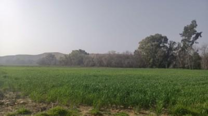 Córdoba - Córdoba - 70m2