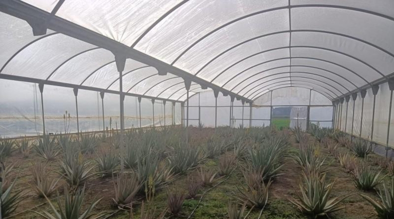 Córdoba - Córdoba - 70m2