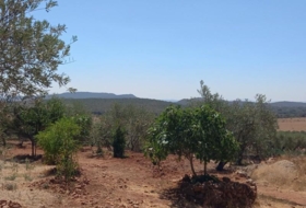 Foto 10