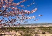 Chalet independiente con terreno en venta en la España, Ibi, ref: TR157128 foto