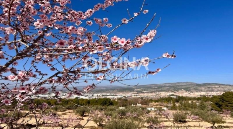 Alicante - Ibi - 372m2