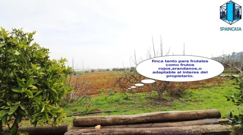 Huelva - Aljaraque - 27000m2