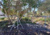 Sòl urbà en venda a la España, Llucmajor, ref.: TR173236 foto