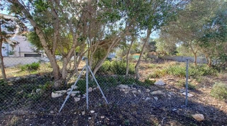 Balearic Islands - Lluchmayor - 810m2