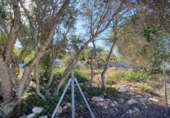 Sòl urbà en venda a la España, Llucmajor, ref.: TR173236 foto