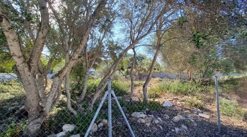 Balearic Islands - Lluchmayor - 810m2