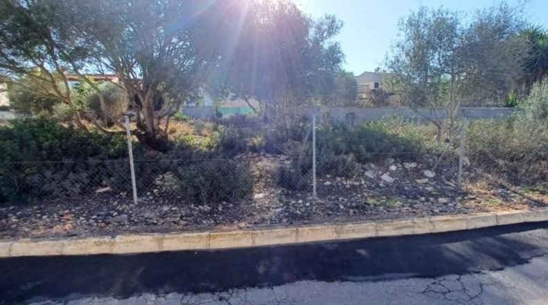 Balearic Islands - Lluchmayor - 810m2