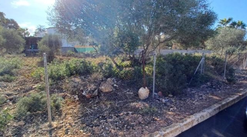 Balearic Islands - Lluchmayor - 810m2
