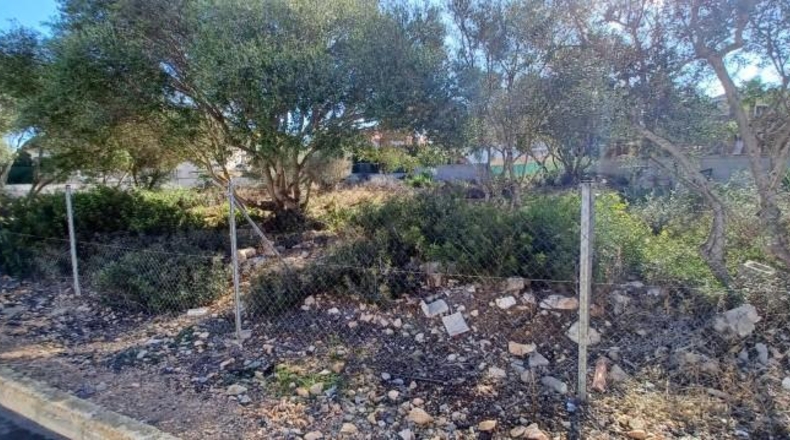 Balearic Islands - Lluchmayor - 810m2