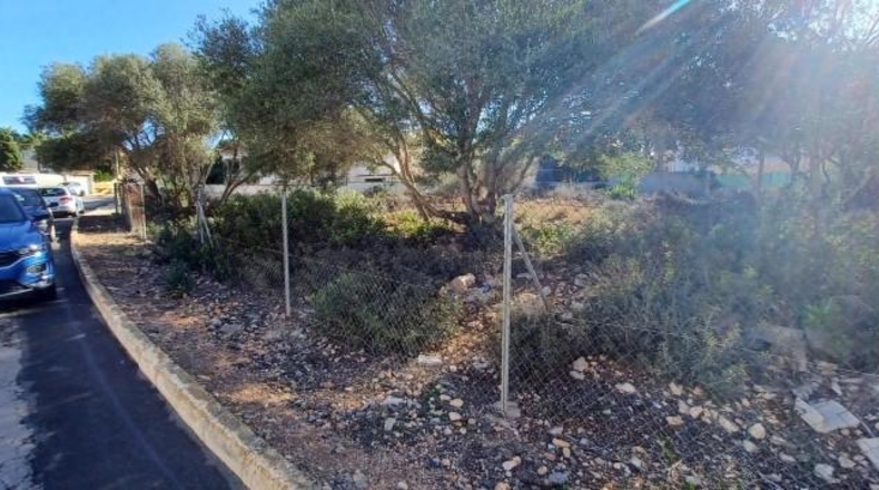 Balearic Islands - Lluchmayor - 810m2