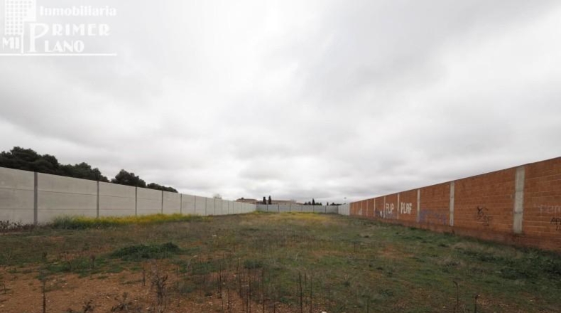 Ciudad Real - Tomelloso - 3250m2