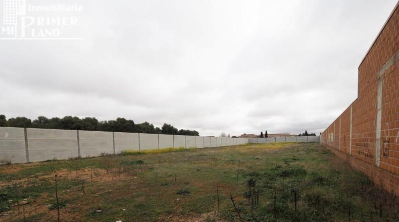 Ciudad Real - Tomelloso - 3250m2