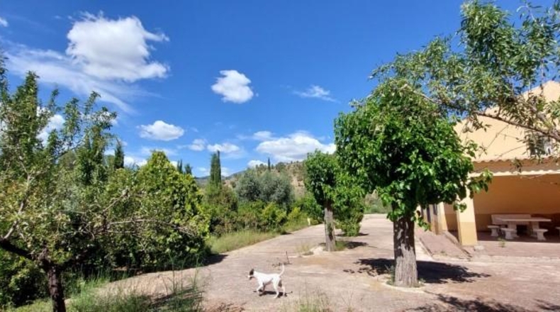 Albacete - Nerpio - 676m2