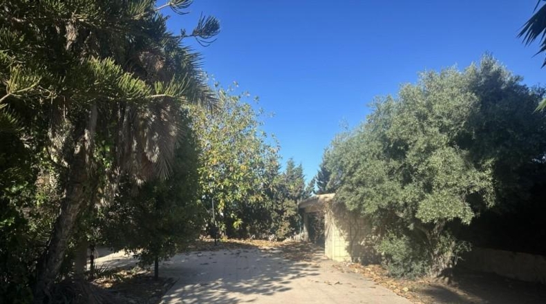 Alicante - Campello - 170m2