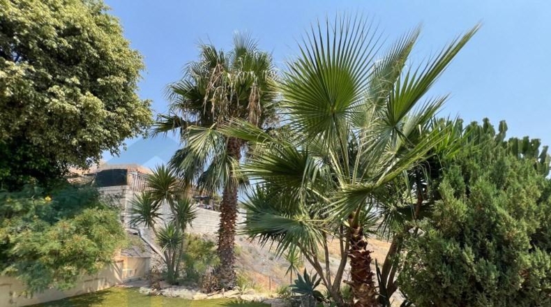 Murcia - Águilas - 2300m2