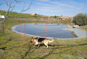 San Martín de Pusa 70000&nbsp;m²