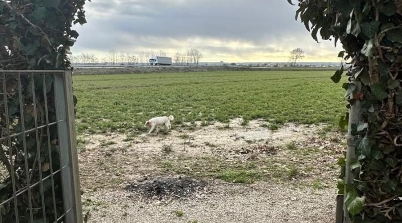 Lerida - Anglesola - 262m2