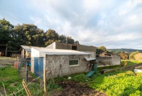 Bareyo 4797&nbsp;m²