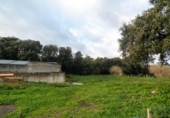 Земельный участок на продажу в городе Bareyo Фото