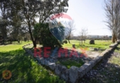 Chalet independiente con terreno en venta en la España, Villanubla, ref: TR400848 foto