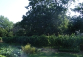 Detached villa with land for sale on España, Medina de Pomar, ref: TR406354 photo