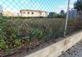 Suelo urbano en venta en la España, Alcúdia, ref: TR356248 foto