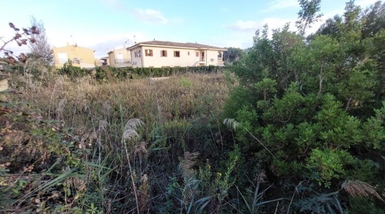 Balearic Islands - Alcudia - 933m2