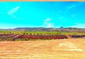 Chalet independiente con terreno en venta en la España, Abanilla, ref: TR335032 foto