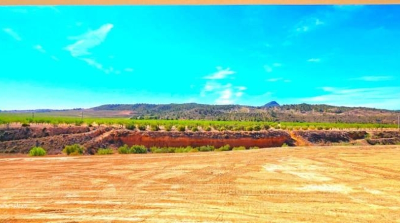 Murcia - Favanella - 6000m2