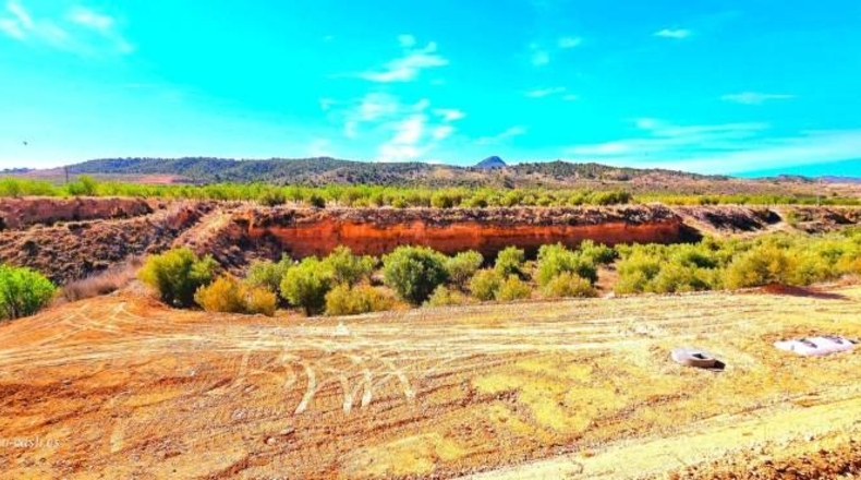 Murcia - Favanella - 6000m2