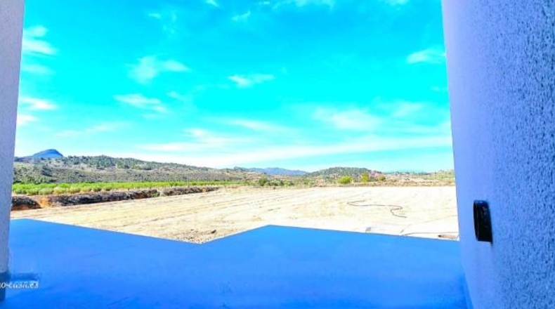 Murcia - Favanella - 6000m2