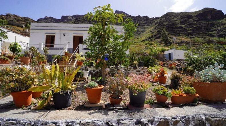 Las Palmas - Mogán - 3101m2
