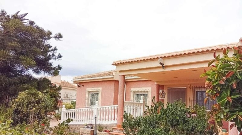Alicante - Torrevieja - 816m2