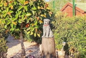 Foto 12