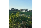 Casa de campo con terreno en venta en la España, Lliçà de Vall, ref: TR408333 foto