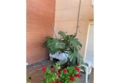 Casa de campo con terreno en venta en la España, Lliçà de Vall, ref: TR408333 foto