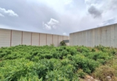 Suelo urbano en venta en la España, Náquera, ref: TR308503 foto