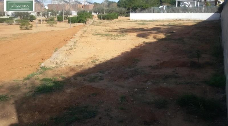 València - Bétera - 1183m2