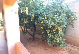 Foto 7
