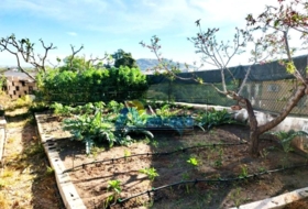 Foto 6