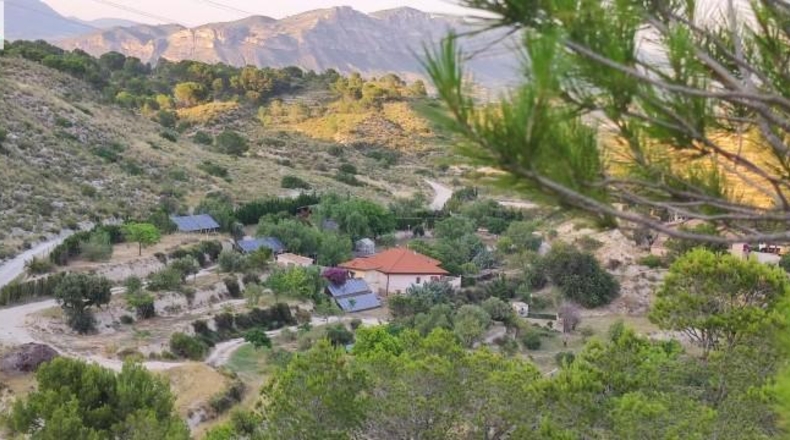 Alicante - Dolores - 159951m2