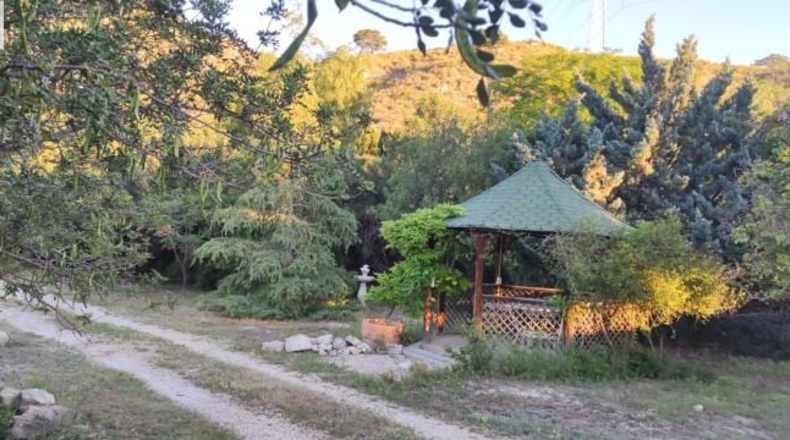 Alicante - Dolores - 159951m2