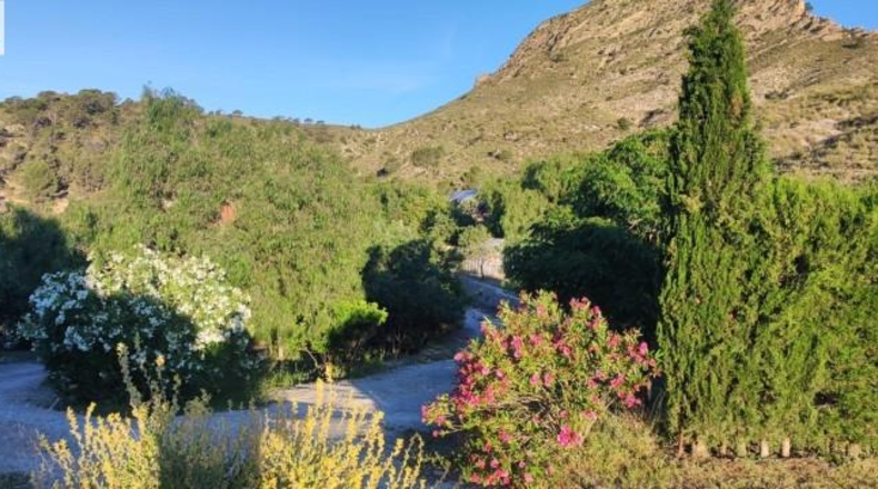 Alicante - Dolores - 159951m2