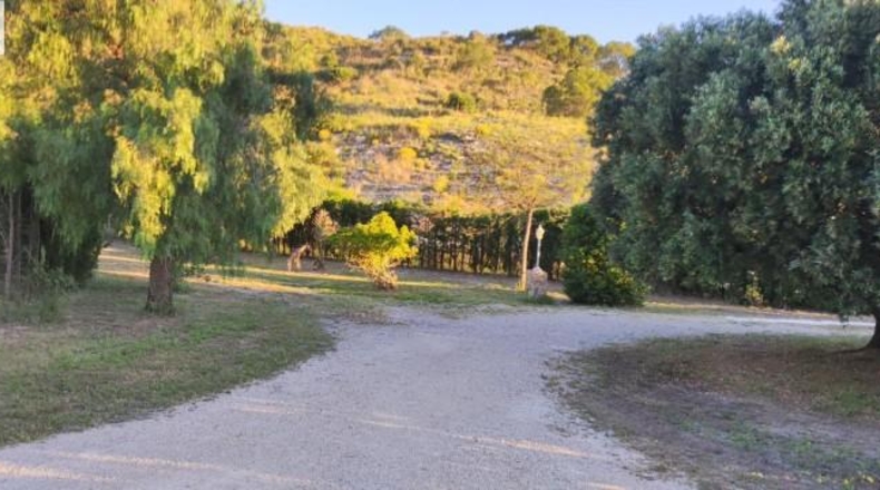 Alicante - Dolores - 159951m2
