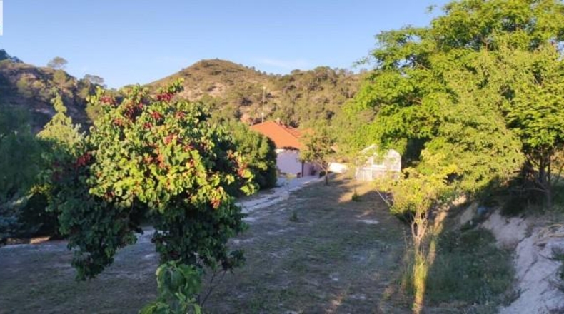 Alicante - Dolores - 159951m2
