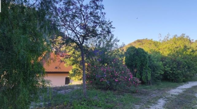 Alicante - Dolores - 159951m2